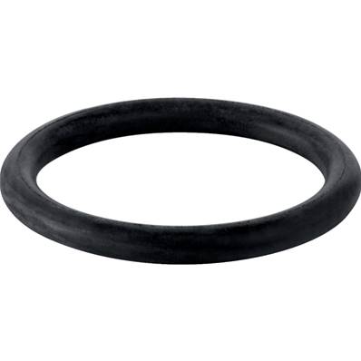 Geberit O-Ring for Outlet Connection Piece 892.975.00.1