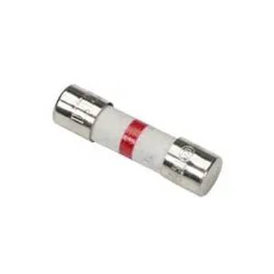 Worcester Bosch Fusing Element T2.5A 87161156770