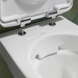 Geberit Selnova Premium Wall-hung WC Washdown Semi-shrouded Rimfree 501.750.00.1