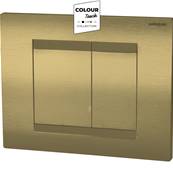 Wirquin Essential Dual Flush Plate Brushed Brass 50120764